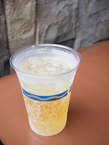 リフレスコス 東京ディズニーシー ステーション 鳥料理 食べログ リフレスコス 東京ディズニーシー ステーション 鳥料理 食べログ