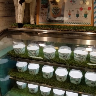 生クリーム専門店 Milk_2