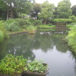 うを徳 - 向島百花園