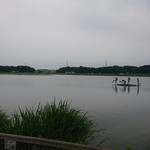 横浜らーめん寿三家 - 手賀沼…