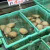 海鮮茶屋 活き活き亭 富士見店