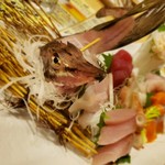 海鮮炭焼処とら太 - いつかの刺盛り 八角カッケー