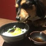 Kaisen Koshitsu Sakaba Imari - トリュフ卵かけご飯。むっちゃ食いたそう（笑）