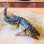 柚木元 - 天龍鮎塩焼き
