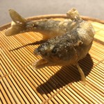 茶禅華 - 五粮香魚。活きのいい稚鮎の唐揚げ。紅蓼酢がぴったりでスイカのソースもまた素晴らしい。