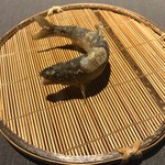 茶禅華 - 五粮香魚。活きのいい稚鮎の唐揚げ。使われている五粮液はめっちゃ高価な白酒らしい。