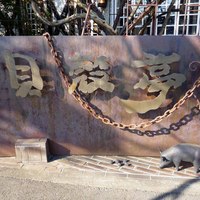 貝殻亭 - 