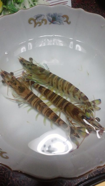 旅馆 鱼半 - おどりぐい 一匹525円