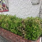 バターチキカレーハウス - 2019年6月2日の火災にお見舞い申し上げます。 1日も早い再建をお祈りしております。