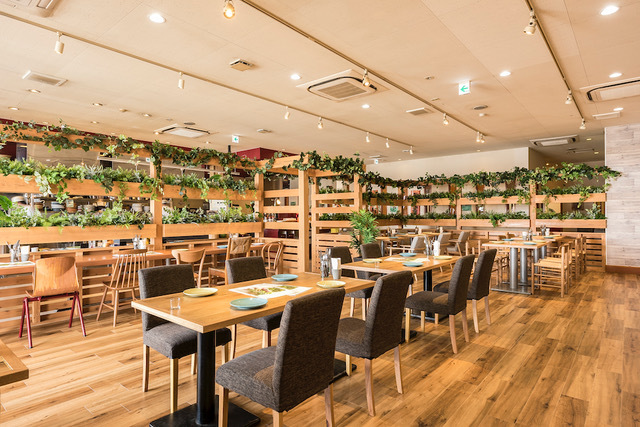リニューアル ベジターラ Vegeatala 佐和 洋食 欧風料理 その他 食べログ リニューアル ベジターラ Vegeatala 佐和 洋食 欧風料理 その他 食べログ