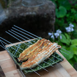 柚木元 - 2019.7 長良川天然川鰻400g、三河湾（矢作川河口）天然海鰻400g