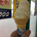 たんぽぽ - 249円