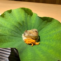 富小路 やま岸 - 