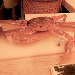 さえ喜 - 松葉かに