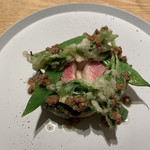 マンサルヴァ - 