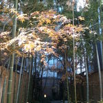 赤坂 菊乃井 - エントランス