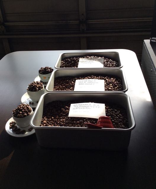 トレファクション リンダ（torrefaction LINDA） - 帯広（その他）の写真