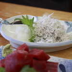 きむら - マグロのブツと釜揚げしらす