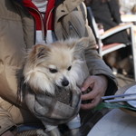 LONCAFE - テラス席はペット同伴可