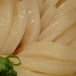 極浄うどん うだま - うどんのアップ　※2012年1月