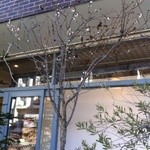 カフェ　コスモノート - 桜？？