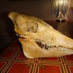 イル・ベヴィトーレ - 