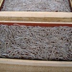 慈恩寺そば - 
