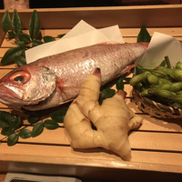 のどぐろ専門 銀座 中俣 - 