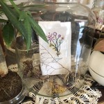 Fukushima Sugar - レジ横