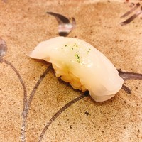鮨 香坂 - アオリイカ