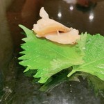 菊水鮓 - ツブ貝