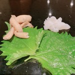 菊水鮓 - アナゴのハラス
