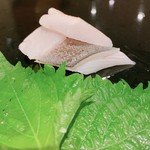 菊水鮓 - マナガツオ