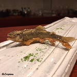 日本料理 TOBIUME - 天竜川の稚鮎のフリット