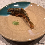 日本料理 TOBIUME - 天竜川の稚鮎のフリット