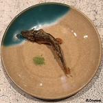 日本料理 TOBIUME - 天竜川の稚鮎のフリット
