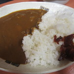 あそう温泉　白帆の湯　水郷の間 - カレーライス（500円）大盛（100円増）