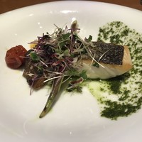 アマルフィイ・モデルナ - 