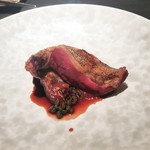 エクアトゥール - ラカン産鳩