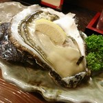 やっちゃば.こお  - 殻付き大岩牡蠣(生牡蠣)