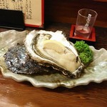 やっちゃば.こお  - 殻付き大岩牡蠣(生牡蠣)