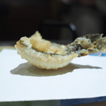 にい留 - 虚鯊（うろはぜ）