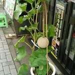 深大寺門前そば - 