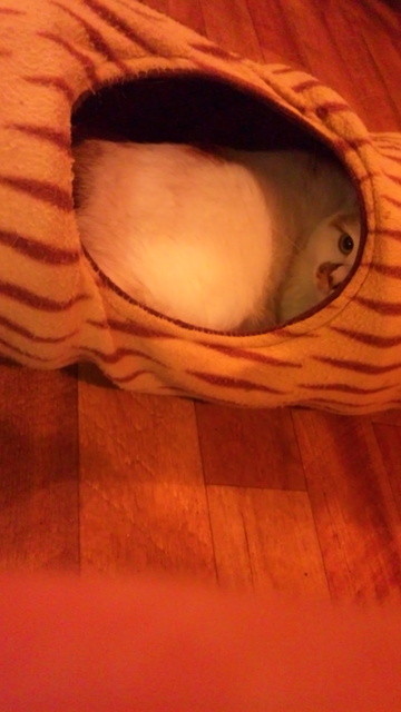 のへじるし - 中央弘前（焼き鳥）の写真