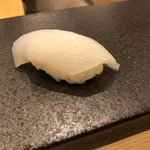 あま木 - アオリイカ