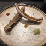 あま木 - シャコ