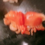 江戸心 山ぼうし - 