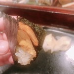 江戸心 山ぼうし - 