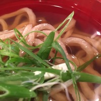 自家製粉石臼挽きうどん 青空blue 本店 - 