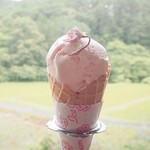 Beni Sakura - 紅さくらアイス